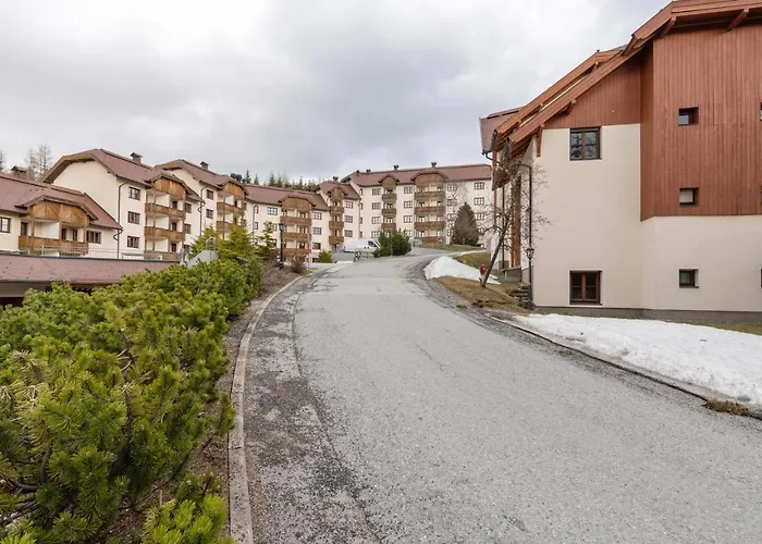 Gemuetliches Appartement Naehe Skipiste